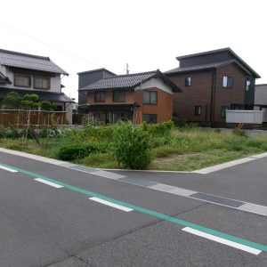 南西より撮影(外観)
