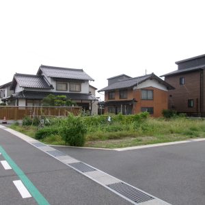 南より撮影(外観)