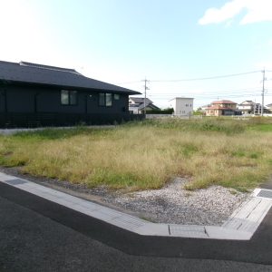 全景(外観)