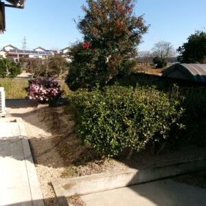 庭スペース(外観)