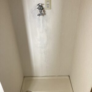 脱衣には洗濯パンあり 脱衣には洗濯パンあり